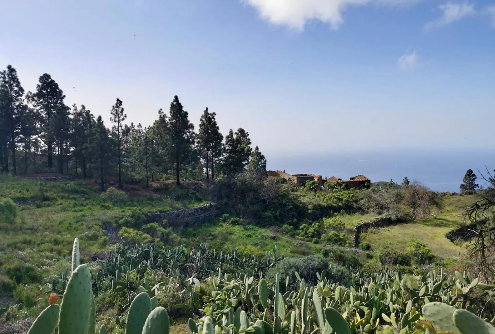 Tierrazul Art Boutique Rose Sweet Suite Costa Adeje  Apartment Costa Adeje (Tenerife)